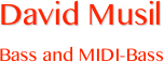 David Musil 
Bass and MIDI-Bass